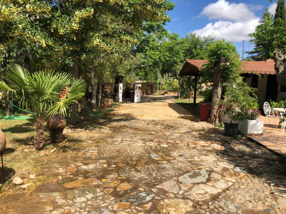 Vivienda Turistica La Huerta Villa Guadalcanal Exterior photo